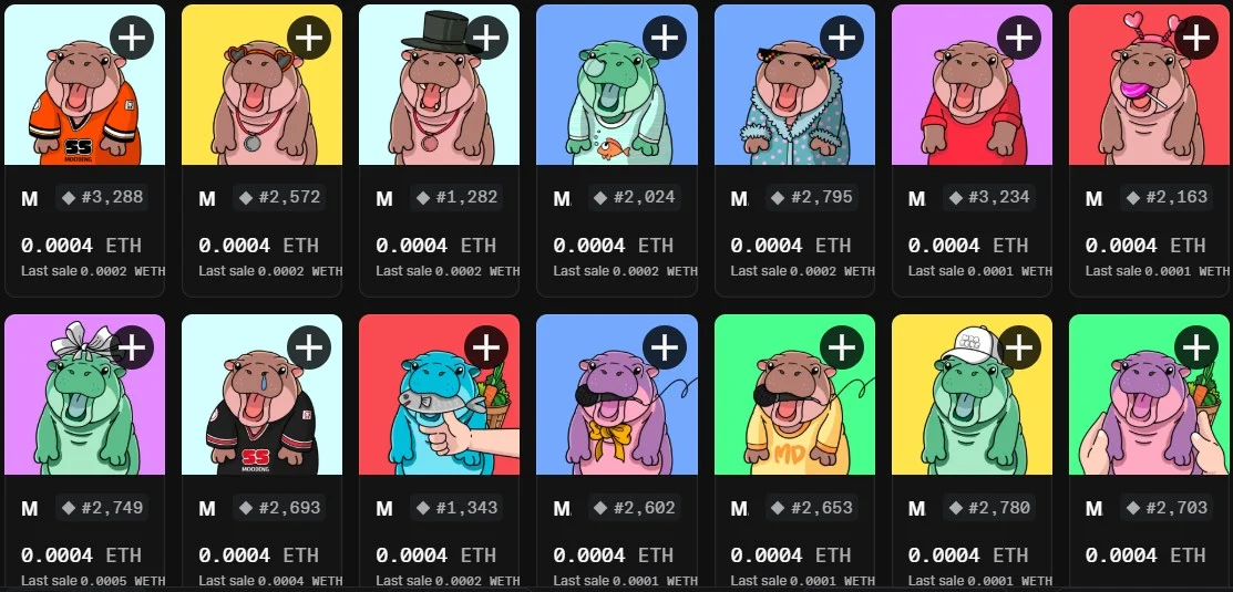 4.jpg