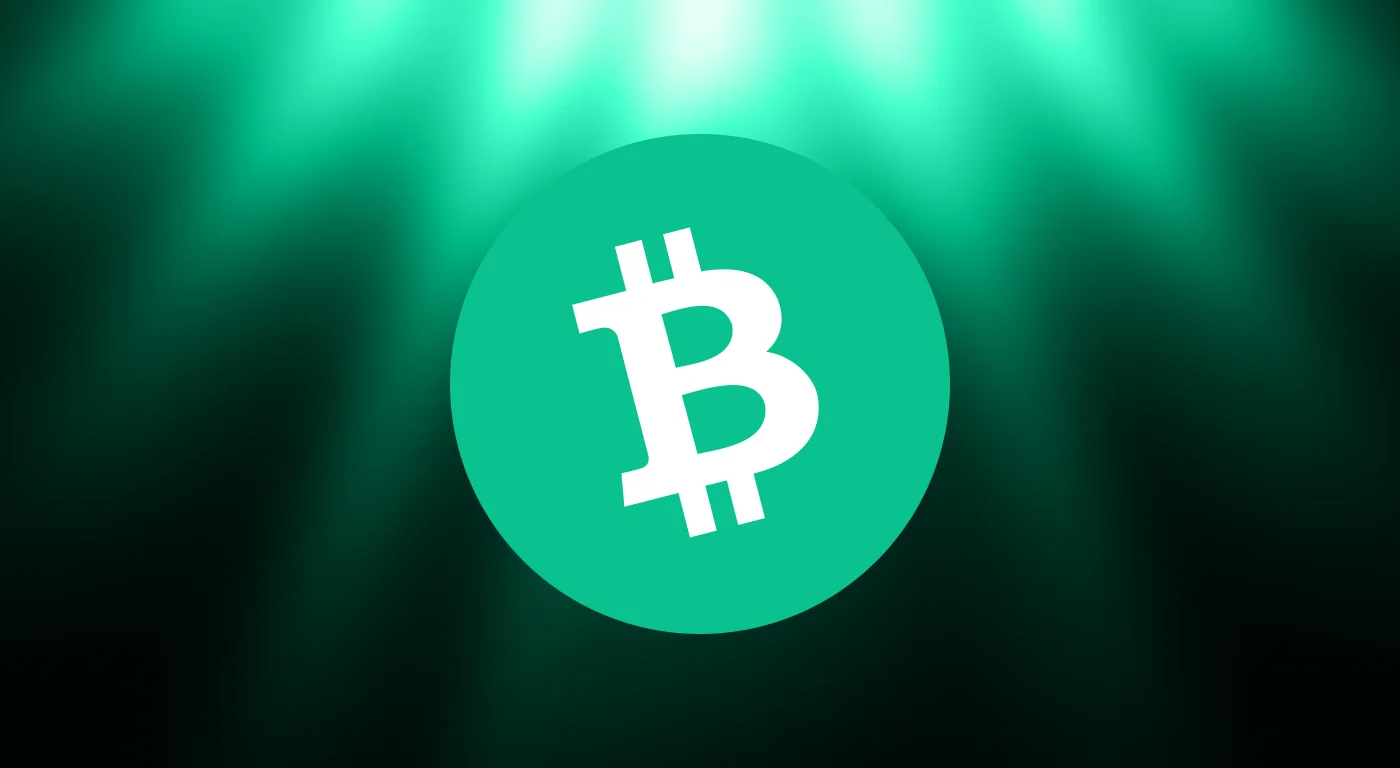 What is Bitcoin Cash (BCH)?