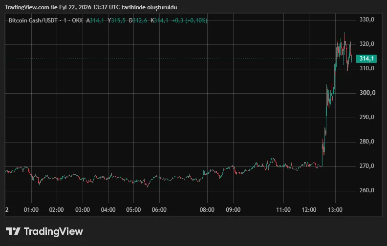 BCHUSDT_2026-09-22_16-37-54.png
