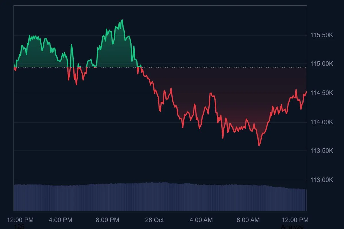 BTC_1D_graph_coinmarketcap (5).jpeg