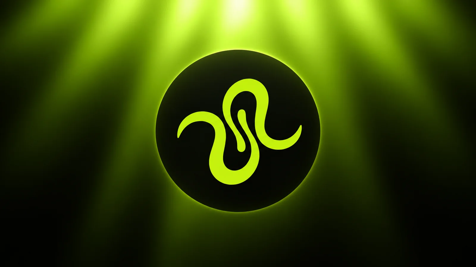 Squid (QUID) Nedir?