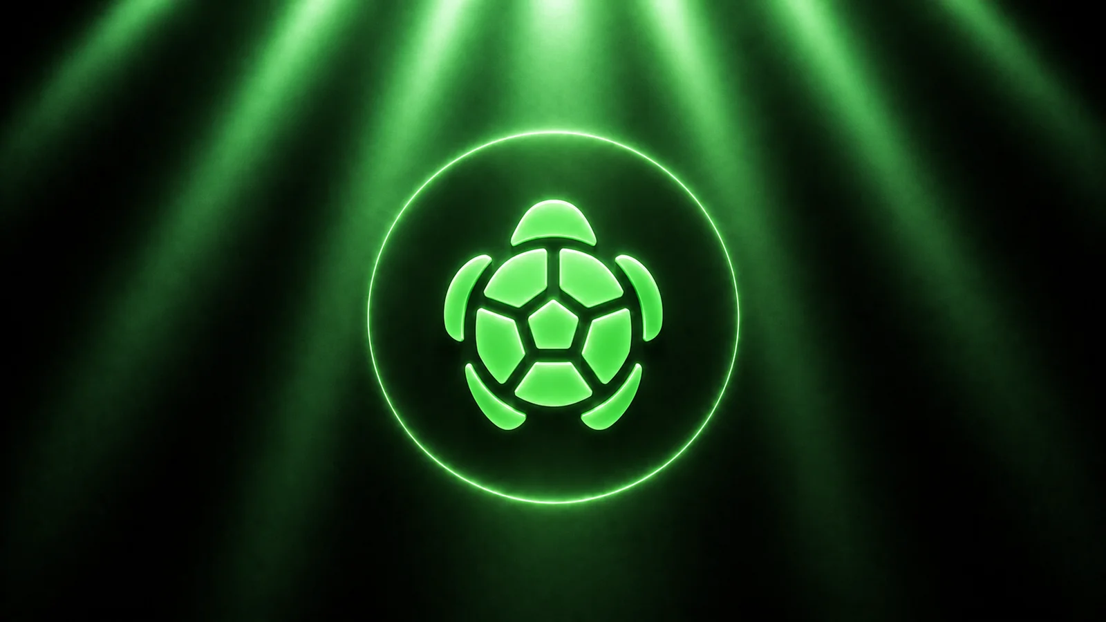 Turtle (TURTLE) Nedir?