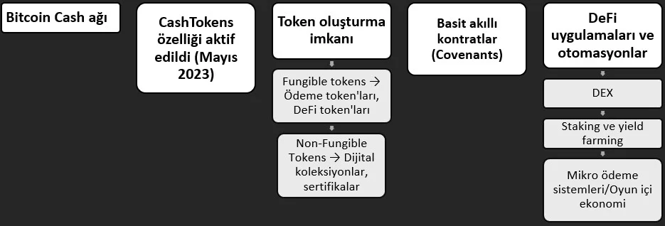 Ekran görüntüsü 2025-07-29 003110.jpg