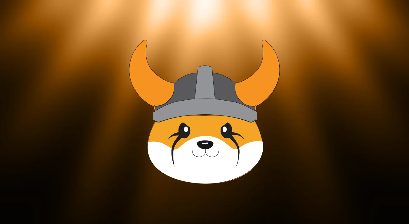 What is Floki (FLOKI)?