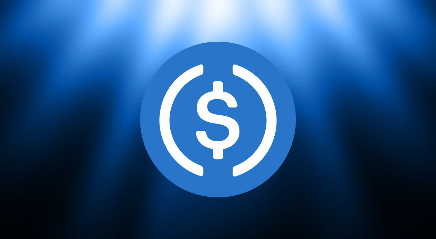 What is USDC Coin (USDC)?