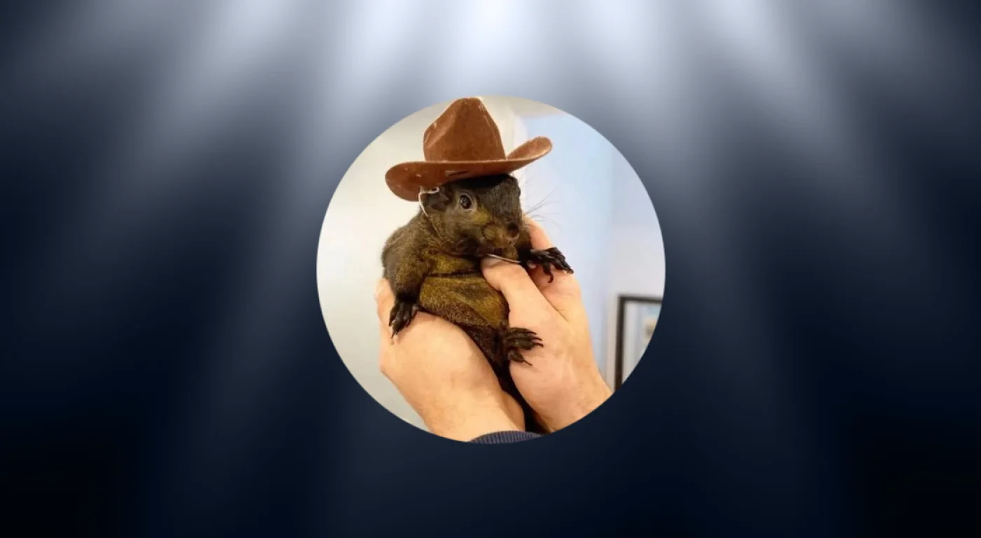 What is Peanut the Squirrel (PNUT)?