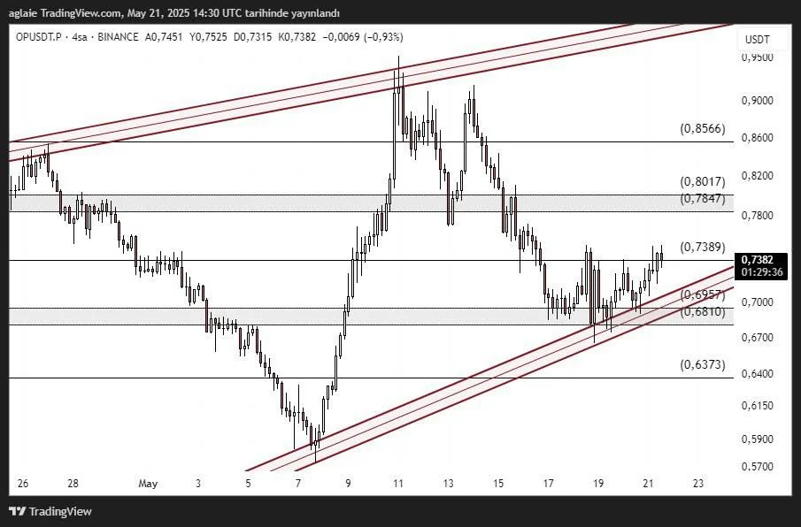 photo_2025-05-22 02.16.37.jpeg