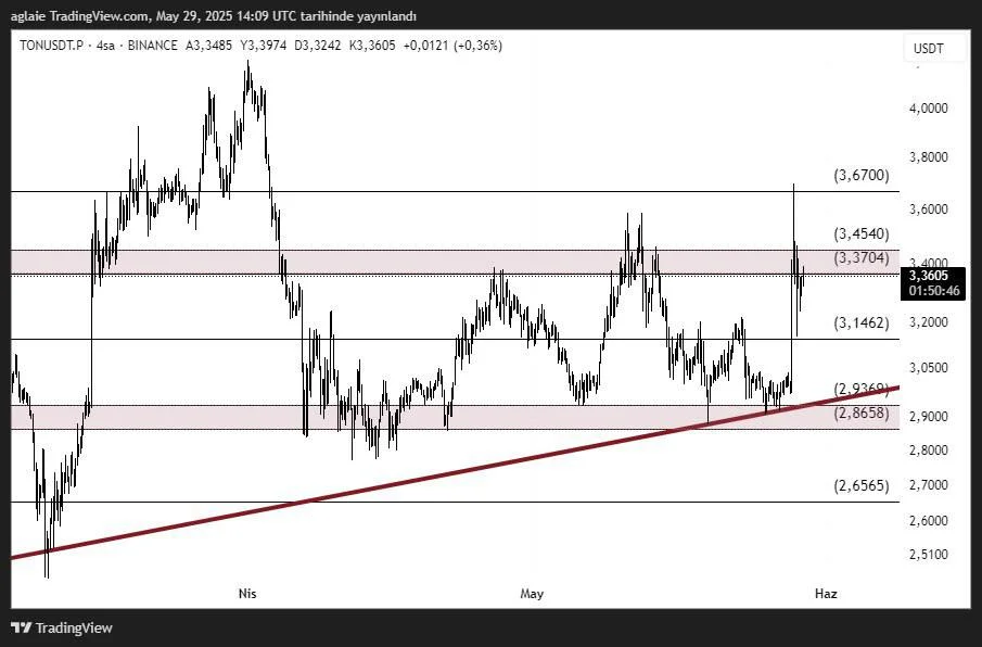 photo_2025-05-29 19.54.45.jpeg