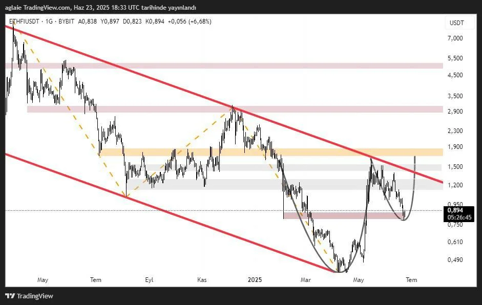 photo_2025-06-24 10.46.03.jpeg