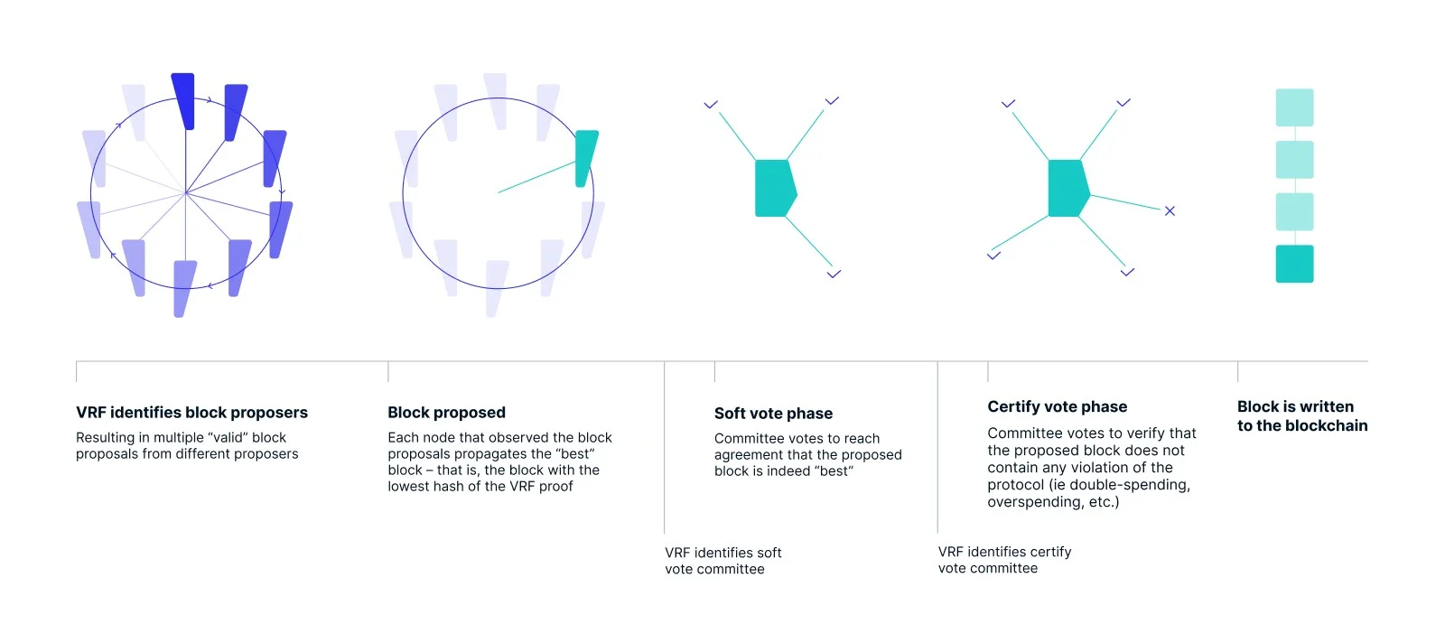 Pure Proof of Stake.jpeg
