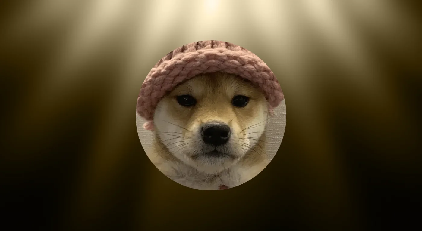 Dogwifhat (WIF) Nedir?